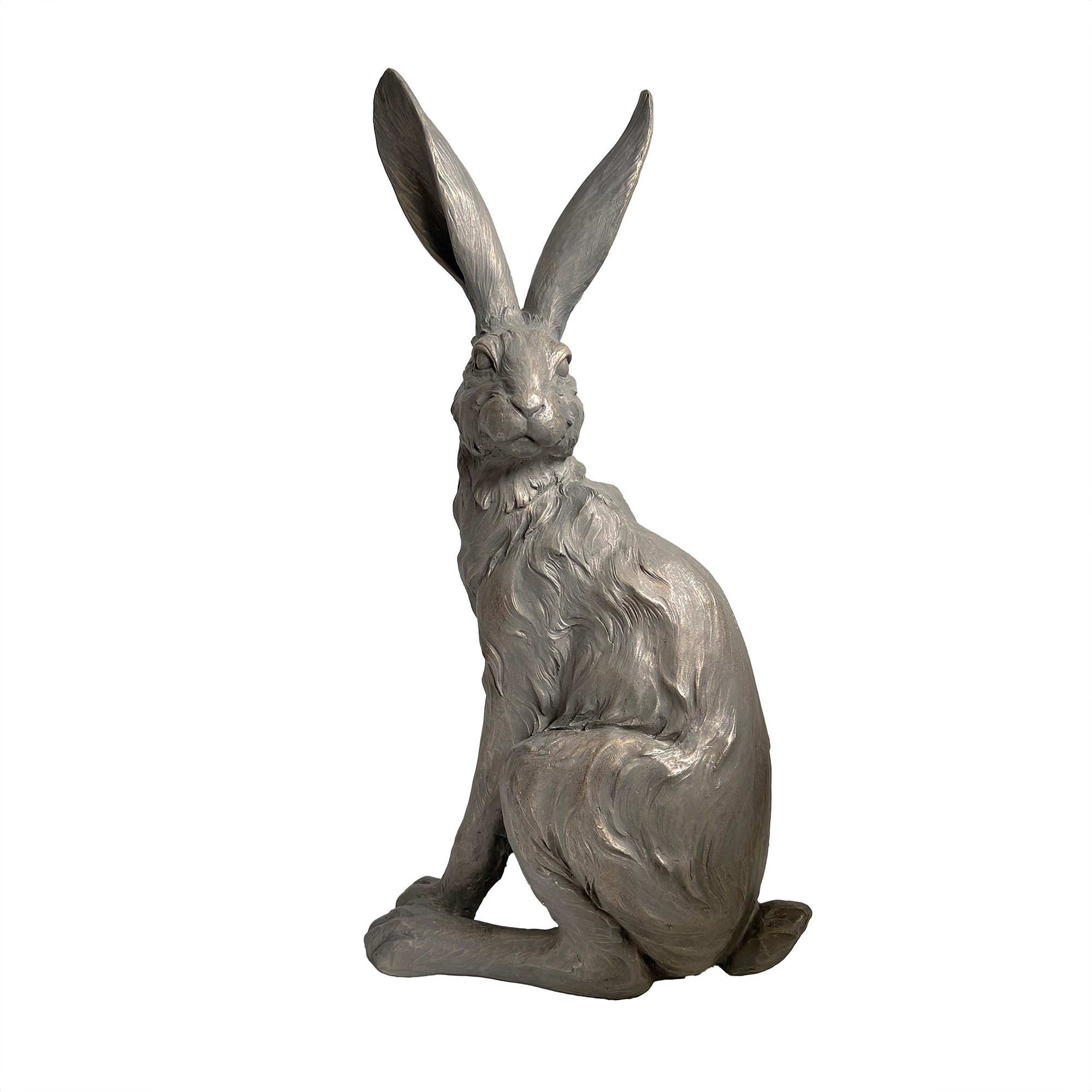 Standing Grey Hare