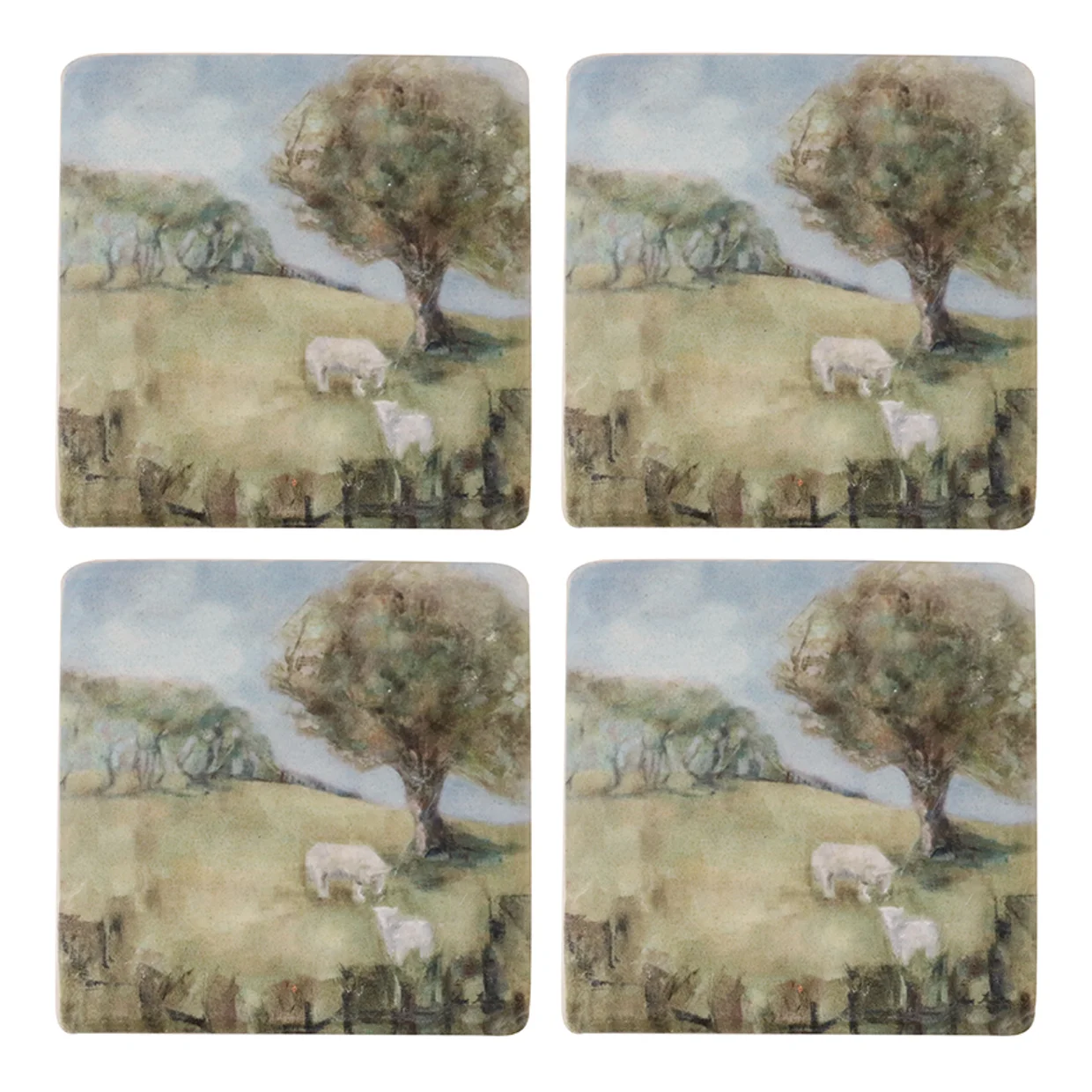 Cornwall Coasters